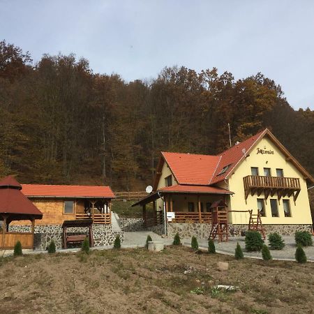 Jazmin Agropensiune Zetea Buitenkant foto