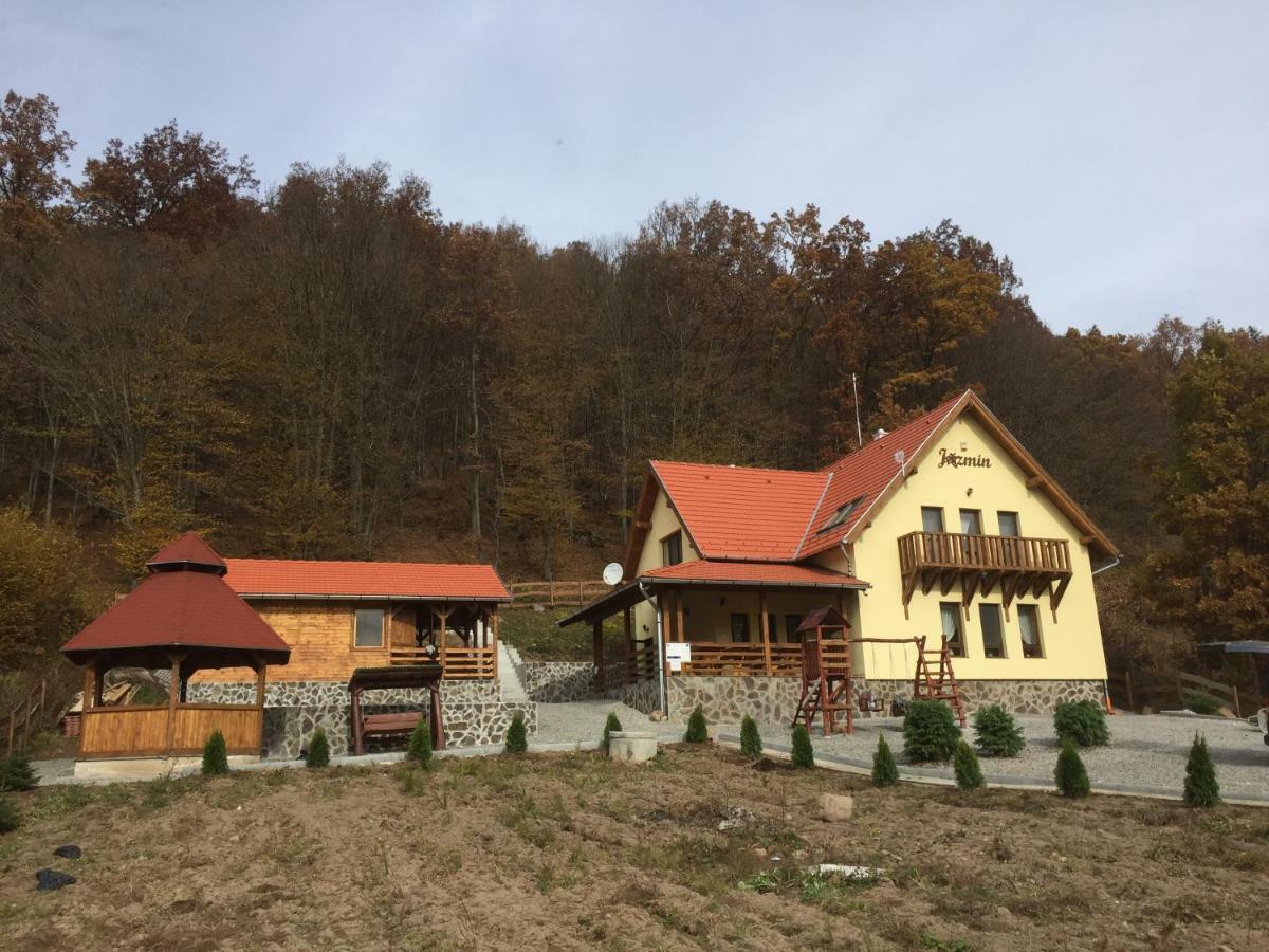 Jazmin Agropensiune Zetea Buitenkant foto